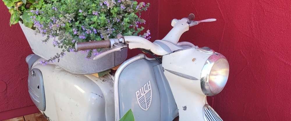 Oldtimerliebe 