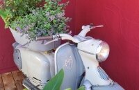 Oldtimerliebe 