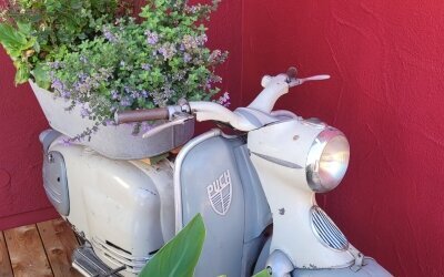 Oldtimerliebe 