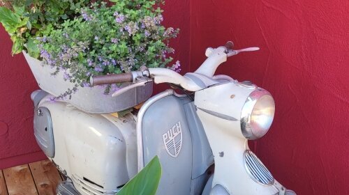 Oldtimerliebe 