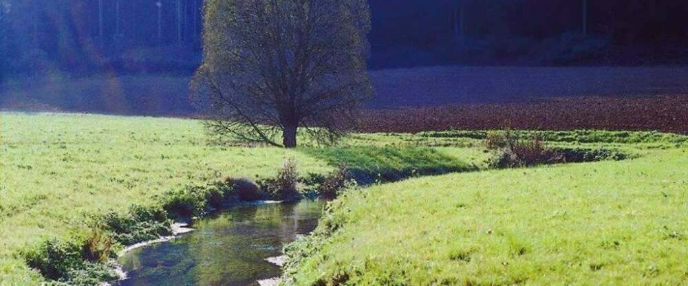 Vulkanhotel balance&selfness - Umgebung