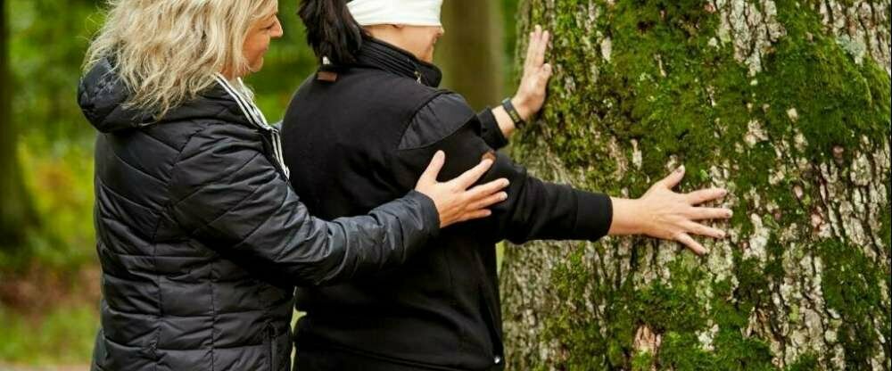 Vulkanhotel balance&selfness - Umgebung