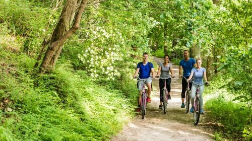 perfekt zum Fahrradfahren