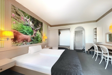 Array, Quelle: WAGNERS Hotel Schönblick