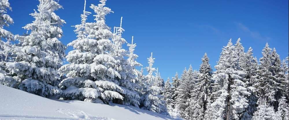 WAGNERS Sporthotel Oberhof - Umgebung