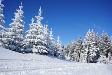 WAGNERS Sporthotel Oberhof - Umgebung, Quelle: WAGNERS Sporthotel Oberhof