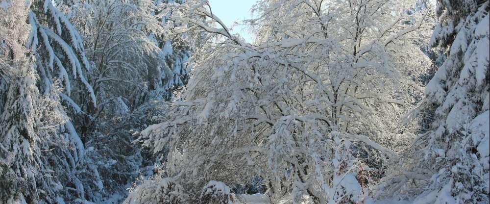 Waldgasthaus am Schwarzenbruch - Sonstiges