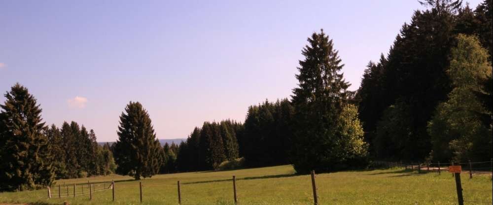 Waldgasthaus am Schwarzenbruch - Umgebung