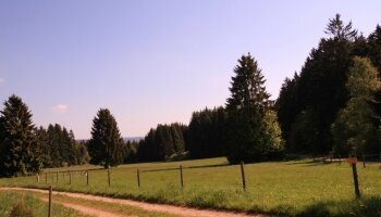 Waldgasthaus am Schwarzenbruch - Umgebung