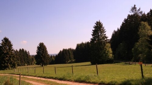 Waldgasthaus am Schwarzenbruch - Umgebung