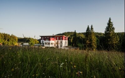 Waldhotel am Notschreipass - Hotel-Außenansicht