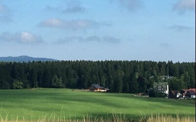 waldhotel AUSZEIT - Hotel-Außenansicht