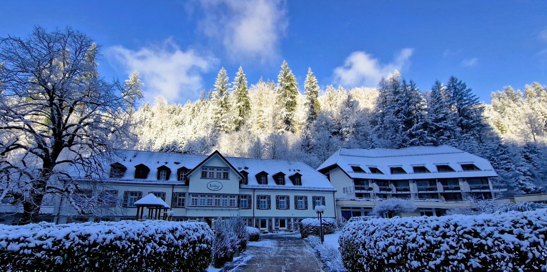 Auf Schnäppchenjagd im (Schwarz-) Waldhotel