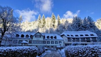 Waldhotel Bad Sulzburg - Hotel-Außenansicht