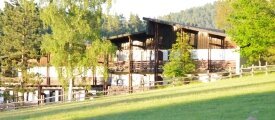 Waldhotel Bächlein - Hotel-Außenansicht, Quelle: Waldhotel Bächlein