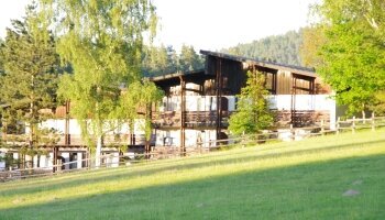 Waldhotel Bächlein - Hotel-Außenansicht