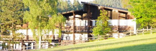 Waldhotel Bächlein - Hotel-Außenansicht, Quelle: Waldhotel Bächlein
