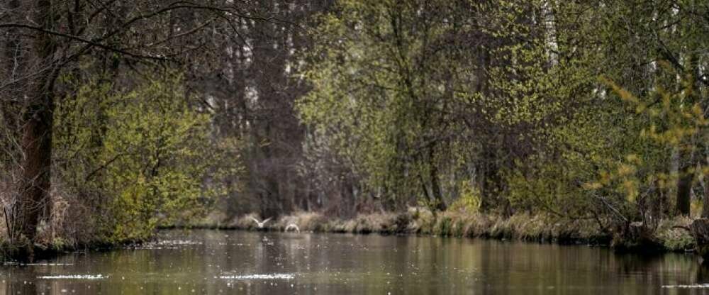 Waldhotel Eiche - Umgebung