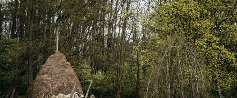 Waldhotel Eiche - Umgebung