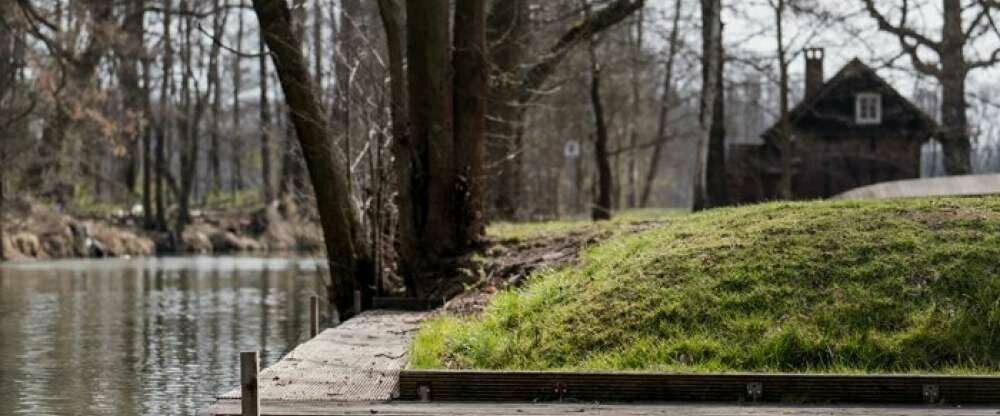 Waldhotel Eiche - Umgebung