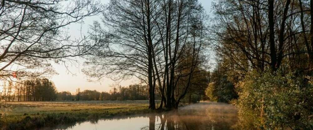 Waldhotel Eiche - Umgebung