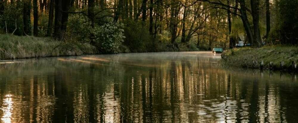 Waldhotel Eiche - Umgebung