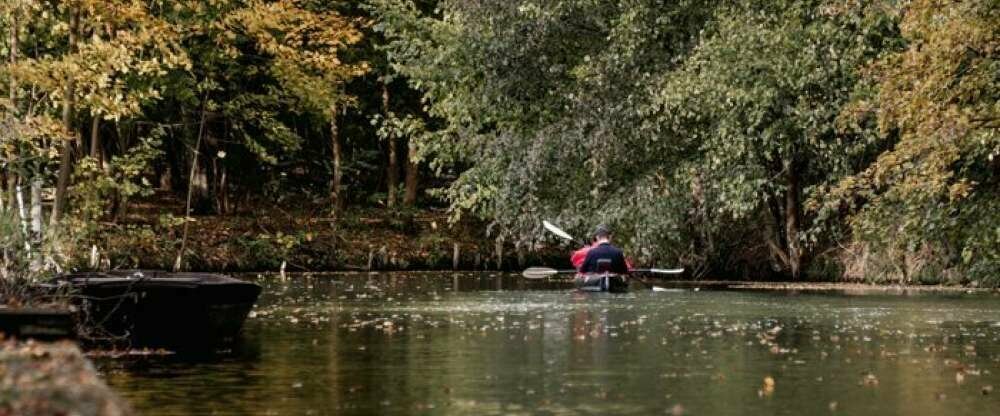Waldhotel Eiche - Umgebung