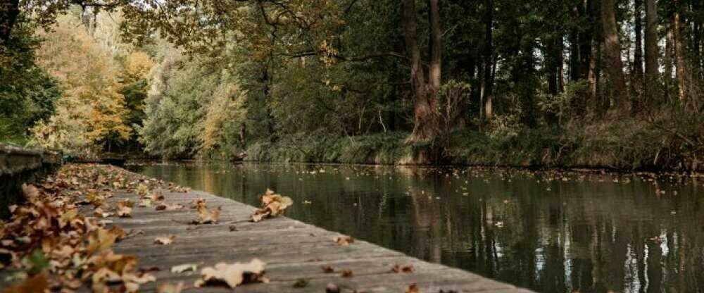Waldhotel Eiche - Umgebung