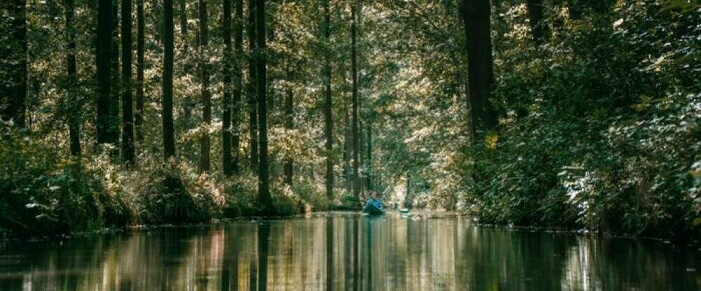 Waldhotel Eiche - Umgebung