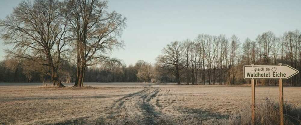 Waldhotel Eiche - Umgebung
