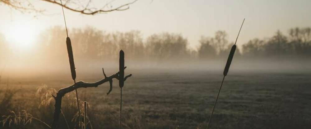 Waldhotel Eiche - Umgebung
