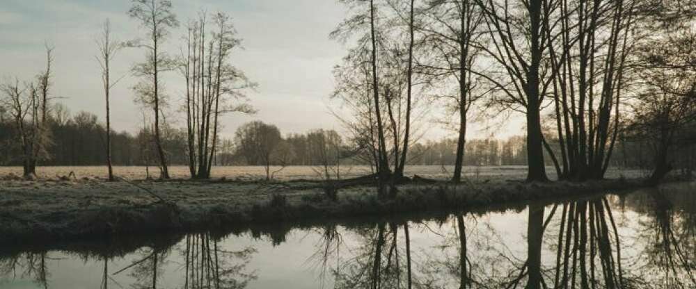 Waldhotel Eiche - Umgebung