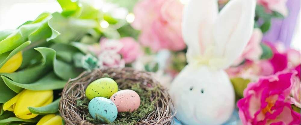 Waldhotel Schäferberg - Sonstiges