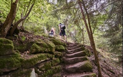 Wandern und Mountainbiken im Nordschwarzald