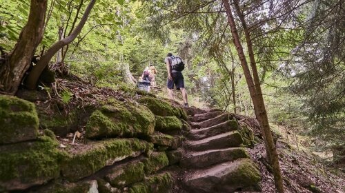 Wandern und Mountainbiken im Nordschwarzald