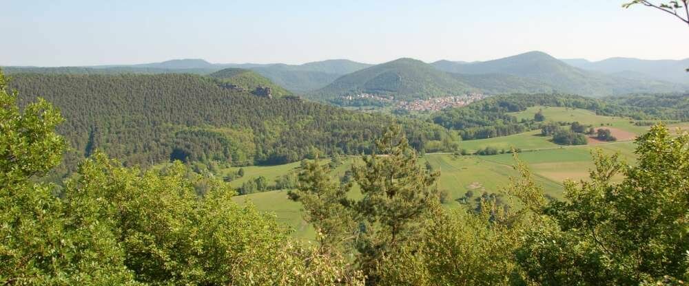 Blick über den Pfälzerwald vom Dimbacher Buntsandstein-Pfad
