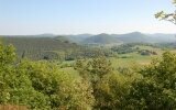 Blick über den Pfälzerwald vom Dimbacher Buntsandstein-Pfad