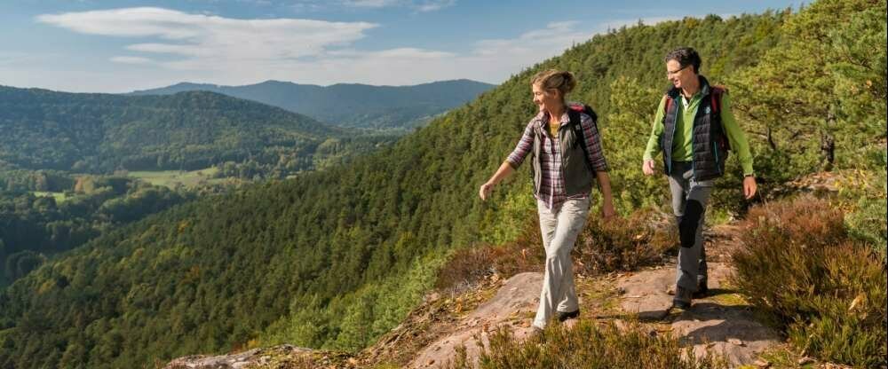 Dimbacher Buntsandstein Höhenweg,
