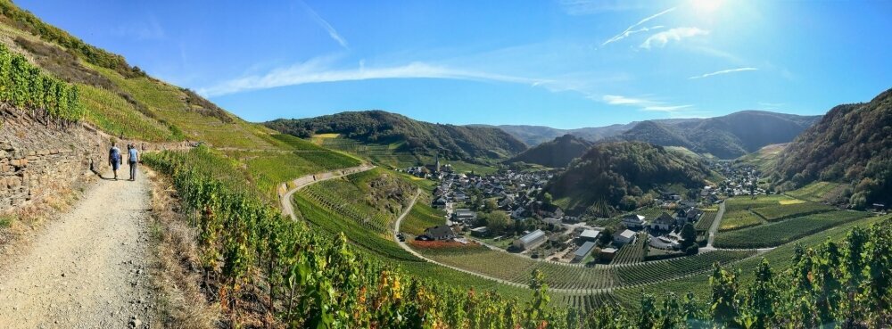 Wandern an der Deutschen Weinstraße, Quelle: Hotel Annaberg