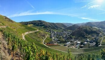 Wandern an der Deutschen Weinstraße