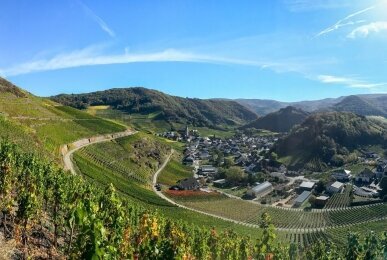 Wandern an der Deutschen Weinstraße, Quelle: Hotel Annaberg