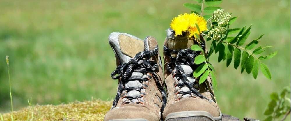 Wandern im Schwarzwald