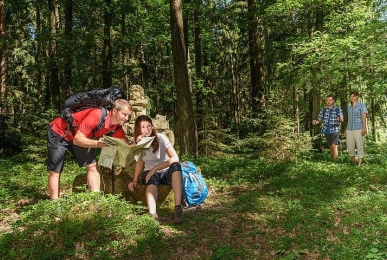 Array, Quelle: Pörtnerhof
