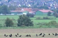 Genussvoll wandern in Lippe