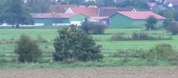 Wandern , Quelle: Sonnenhof