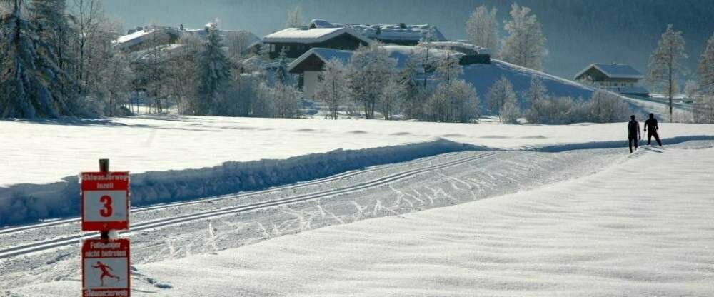 Wanderwege und Loipen direkt vor dem Haus
