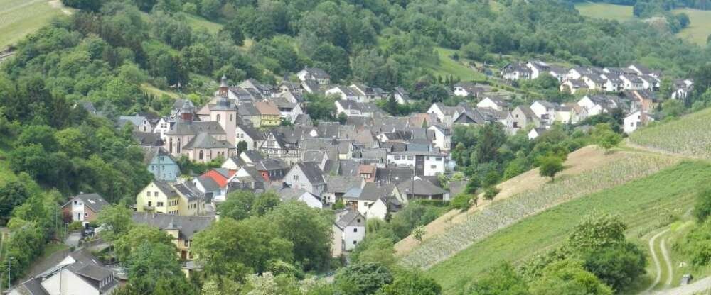 Weingut Pia Stassen - Umgebung