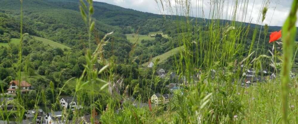 Weingut Pia Stassen - Umgebung