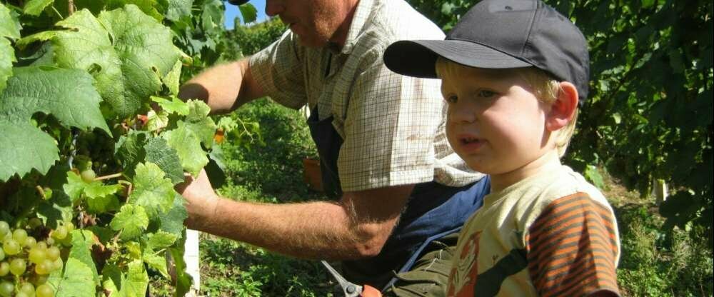 Weinhotel Landsknecht - Umgebung