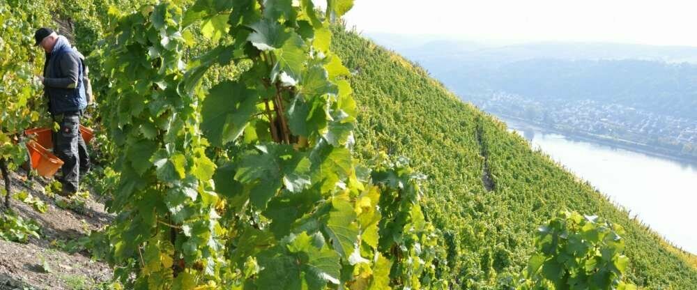 Weinhotel Landsknecht - Umgebung